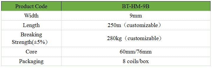 09mm Polyester Bale Strapping