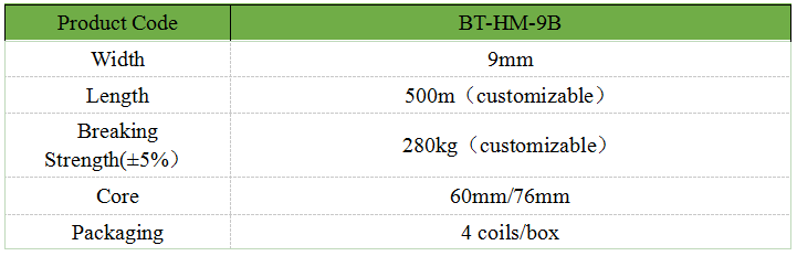 09mm Polyester Bale Strapping